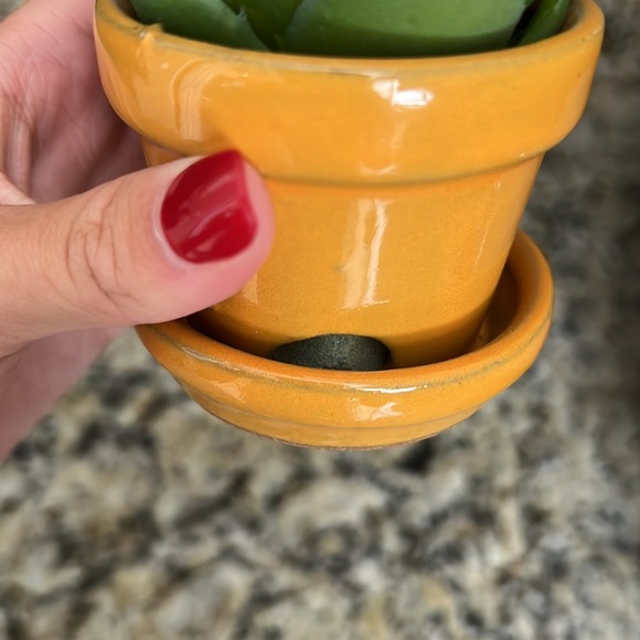 Mini Faux Cactus - Picture 5 of 5